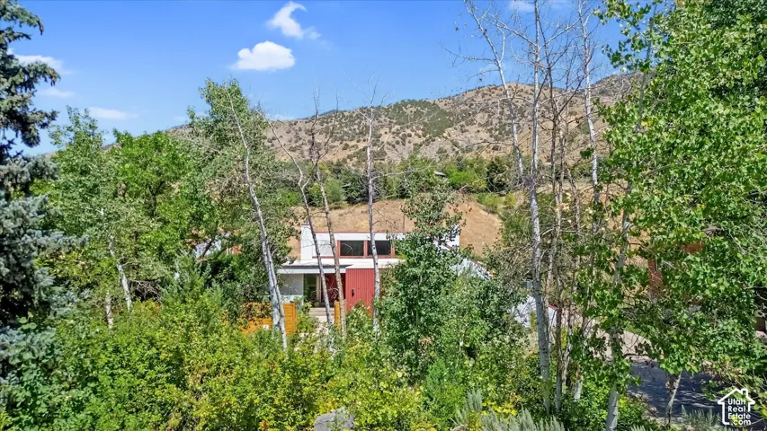Modern architecture with a red accent panel and expansive windows, surrounded by mature trees and natural landscaping