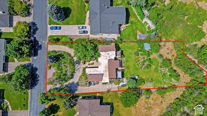 Aerial view of a sprawling property featuring a main residence with a brown roof and light-colored siding, a paved circular driveway, established landscaping, and a large undeveloped natural area