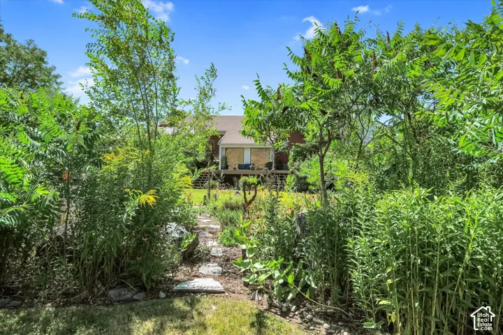 Expansive backyard path featuring natural stone pavers surrounded by mature plantings and diverse foliage