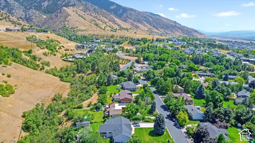 Expansive aerial perspective showcasing a residential area with mature tree coverage and mountainous terrain
