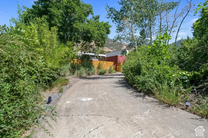 Concrete driveway framed by mature trees and lush vegetation, leading towards a red-sided structure with a wooden fence