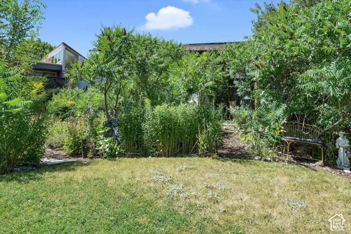 Yard