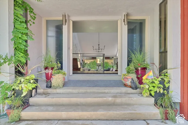 Concrete entry steps leading to a recessed entryway with frosted glass sidelights and an open doorway