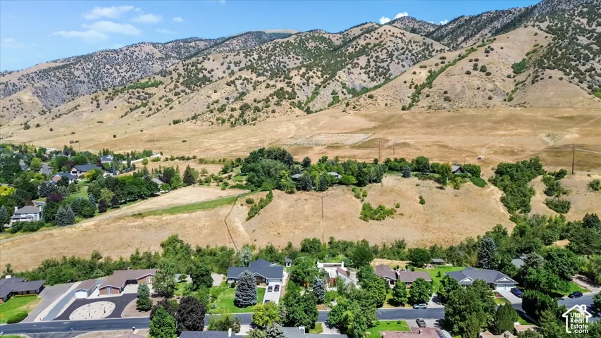 Expansive mountain landscape backdrop with residential properties nestled amongst mature trees