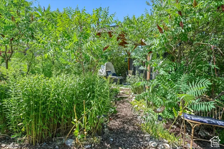 Private garden path with lush foliage and established trees