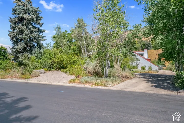 Paved street with multiple driveways, mature trees, and a mountain backdrop