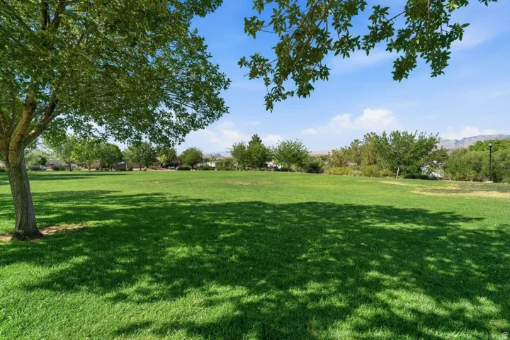 Expansive green space featuring mature trees and a sunny sky