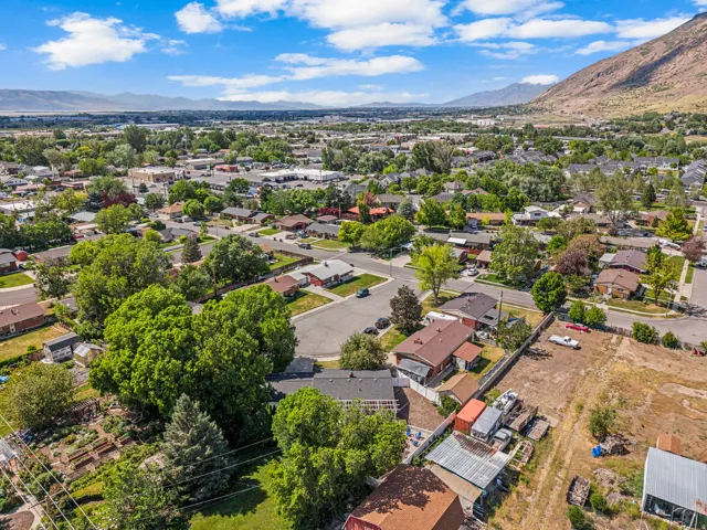 Expansive aerial perspective showcasing a residential area with mature trees and mountain ranges in the background