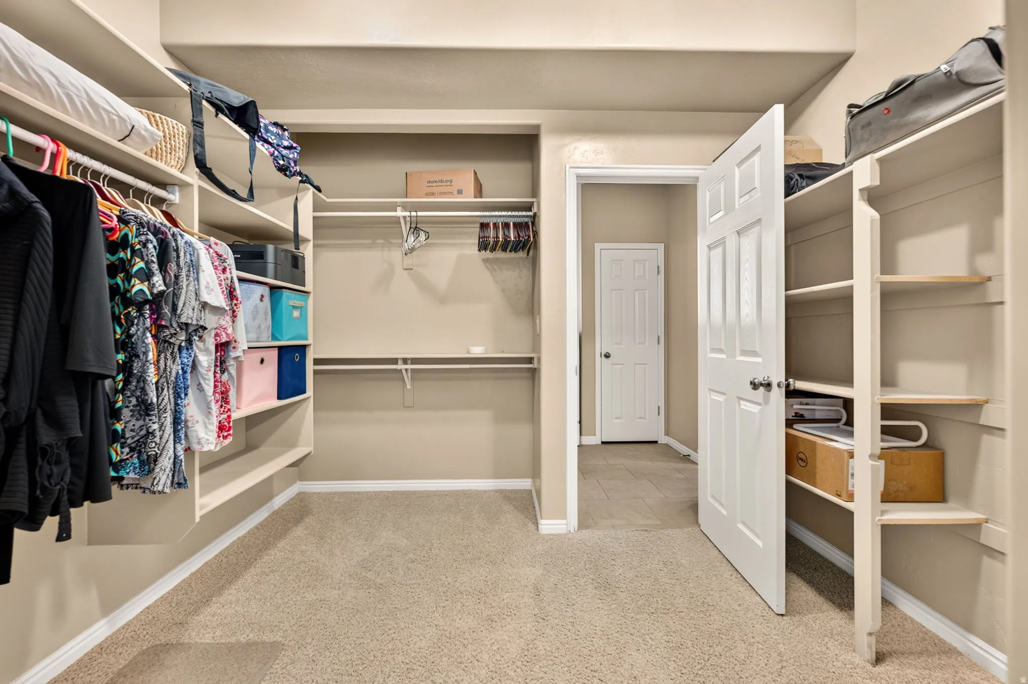 Spacious walk-in closet featuring extensive built-in shelving, multiple hanging rods, and neutral-toned carpeting