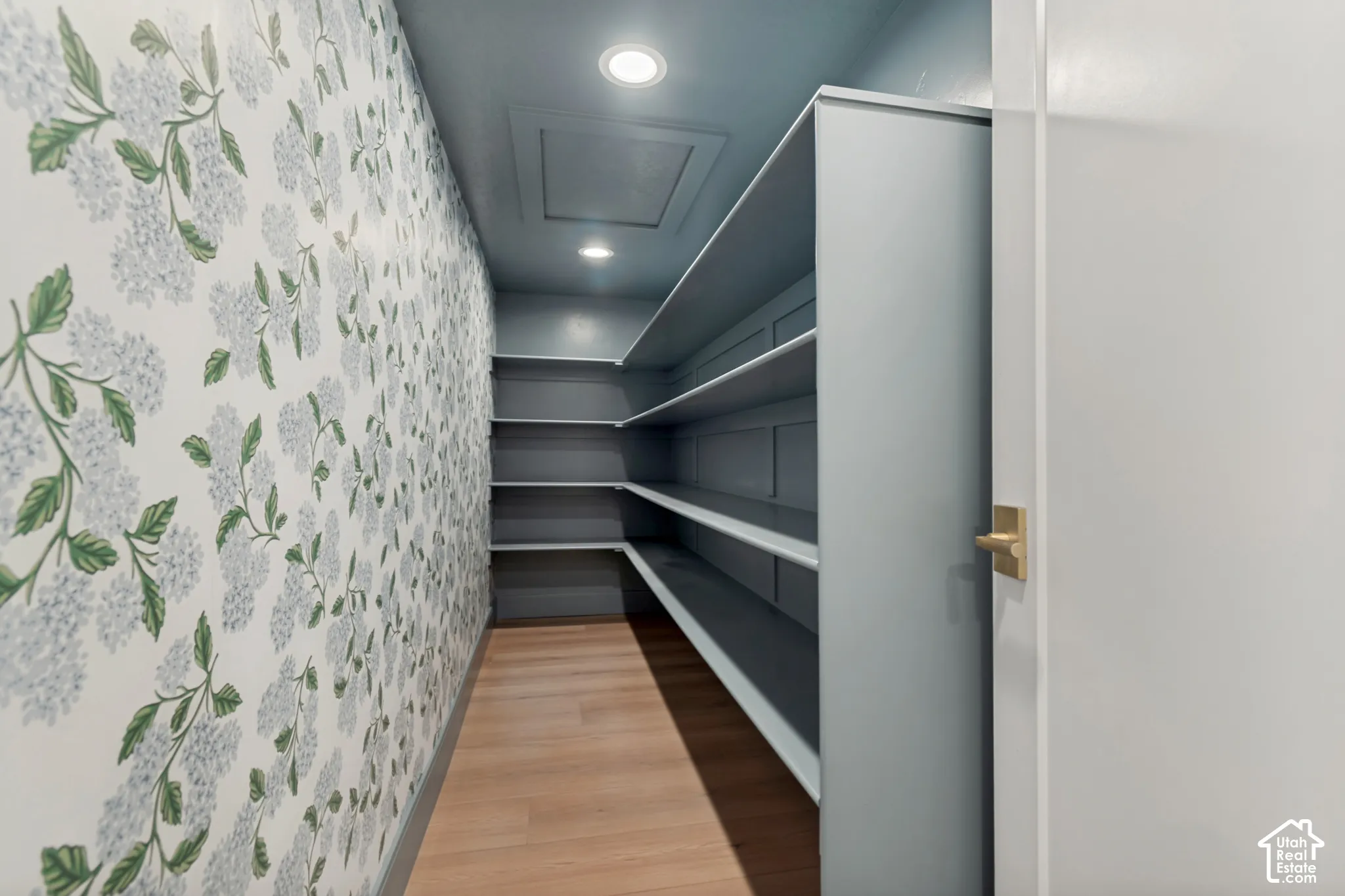 Walk-in pantry with light wood-finish flooring, recessed lighting, and extensive built-in shelving