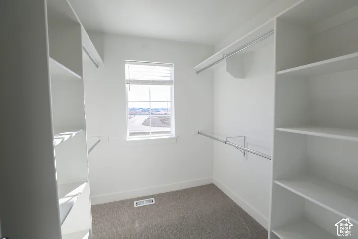 Walk-in closet featuring built-in shelving, hanging rods, light gray carpet, and a window with blinds