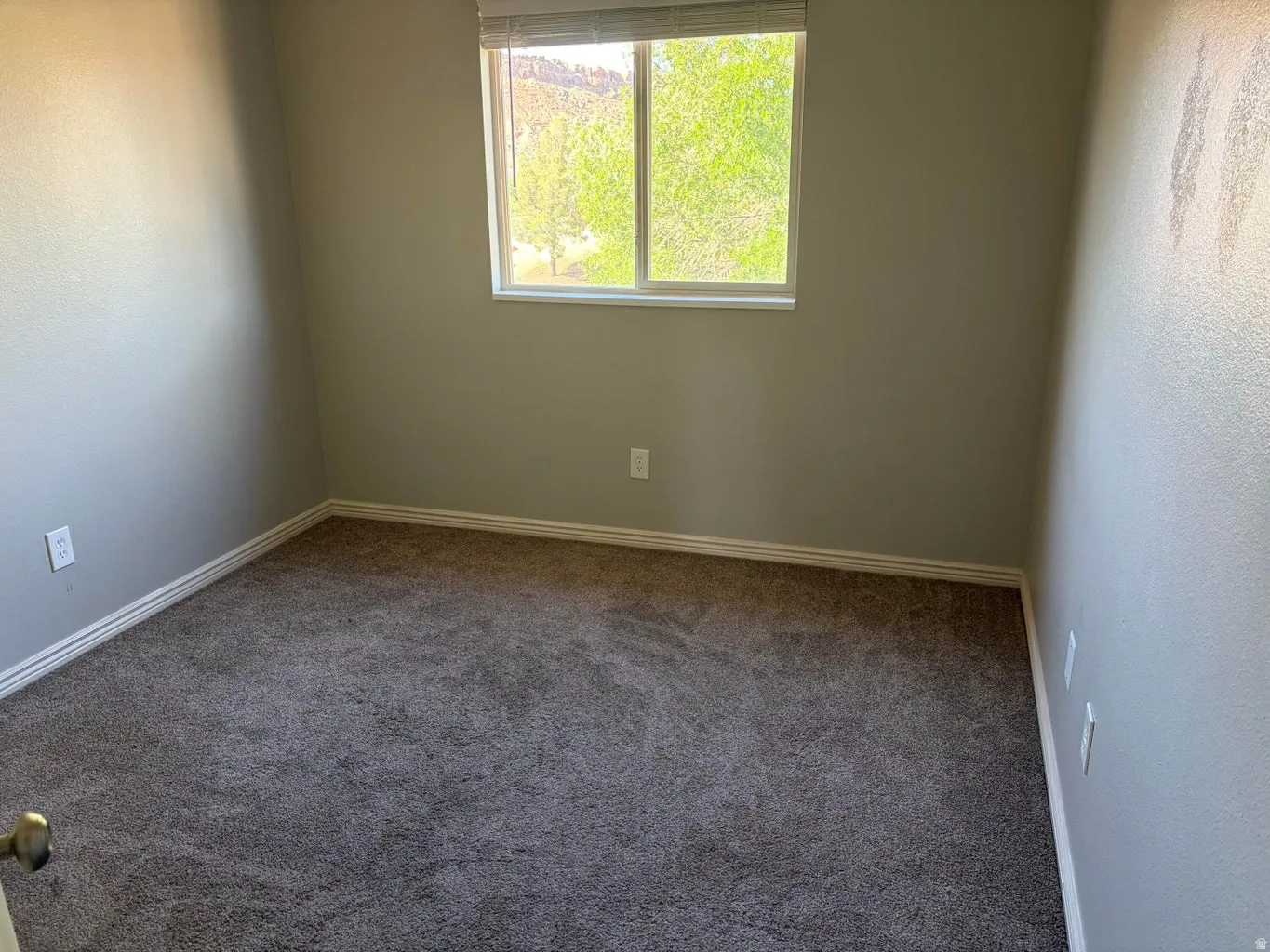 Compact room featuring neutral-toned walls, textured carpet flooring, and white baseboards