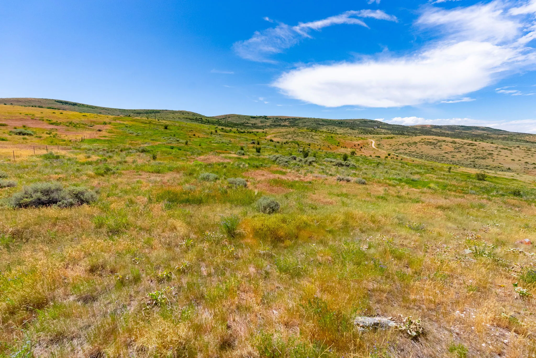 Expansive land parcel featuring rolling hills, natural vegetation, and a winding dirt path