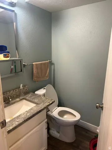 Bathroom with wood-finish flooring, a white vanity with paneled doors, and a stone-finish countertop with an integrated sink