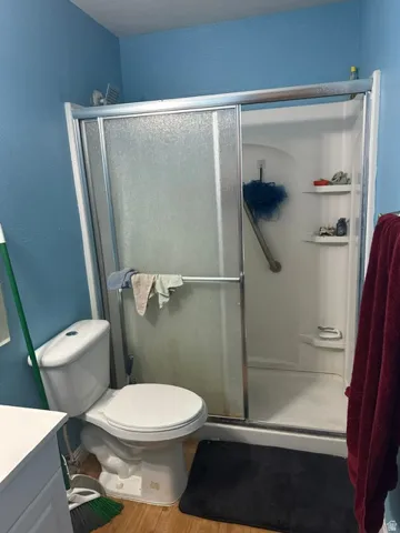 Full bathroom featuring a walk-in shower with sliding frosted glass doors, white toilet, and wood-finish flooring
