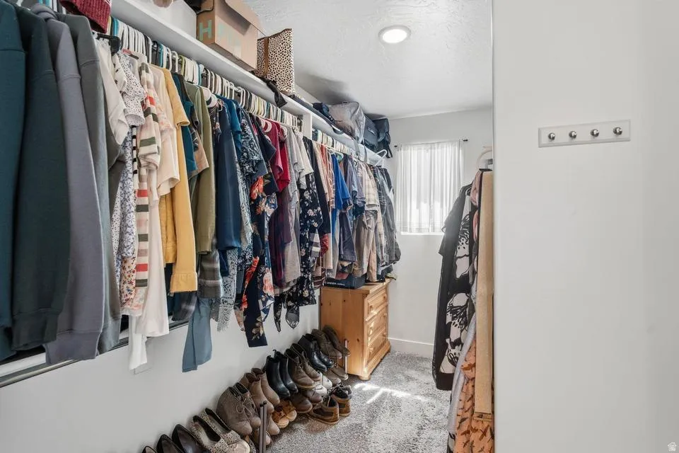 Walk-in closet featuring carpet flooring, built-in shelving, and a recessed ceiling light