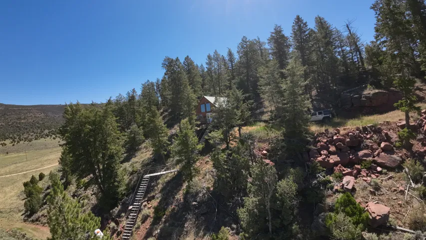 Wood-sided residence situated on a treed hillside with a clear blue sky