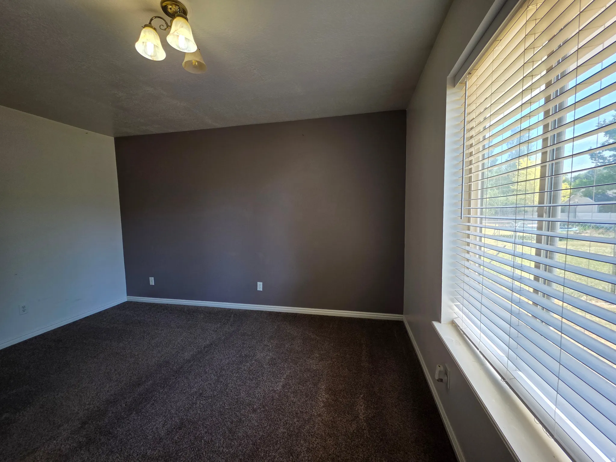 Room featuring a large window with white blinds, dark brown carpeting, and a ceiling-mounted light fixture