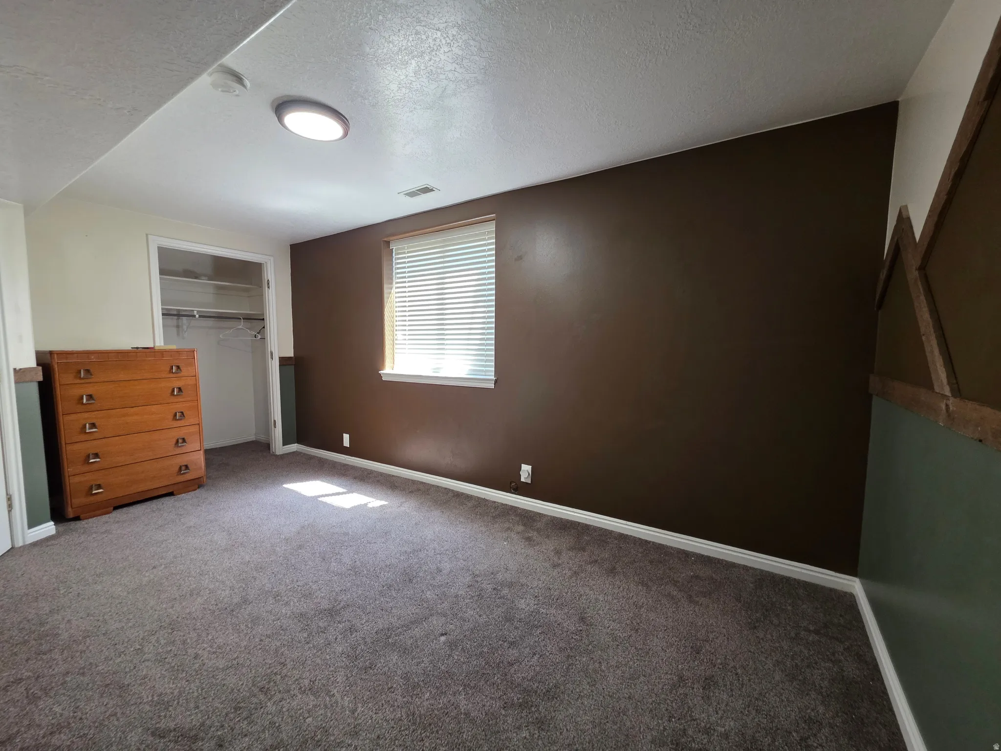 Room featuring plush gray carpeting, a brown accent wall, and a window with horizontal blinds