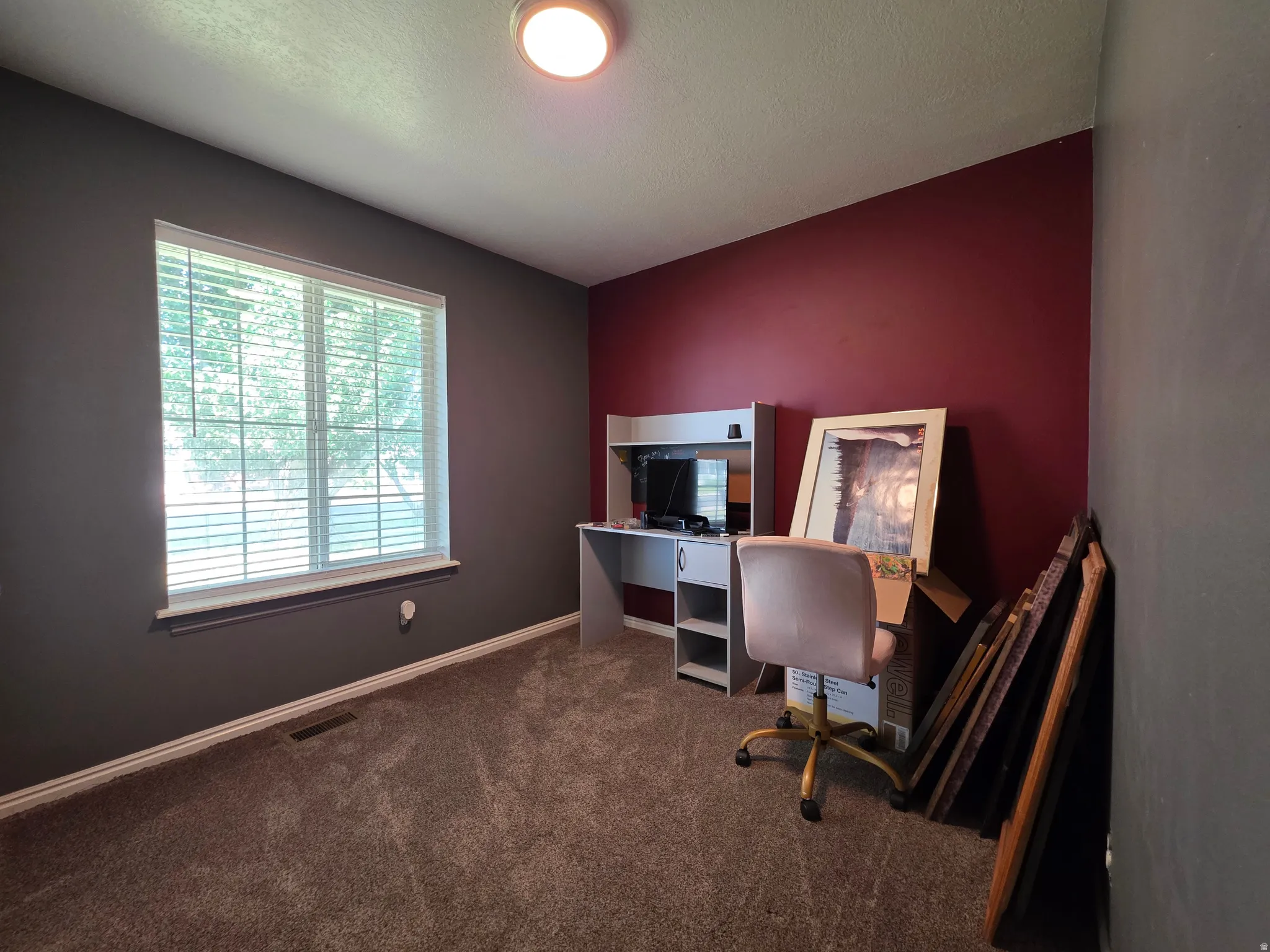 Windowed room featuring plush carpet flooring and a neutral ceiling
