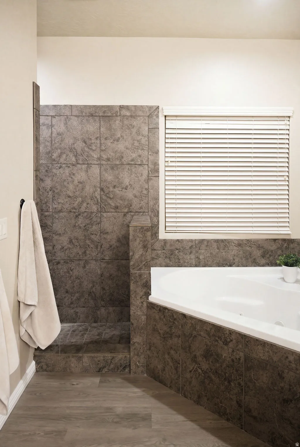 Walk-in shower with separate jetted tub