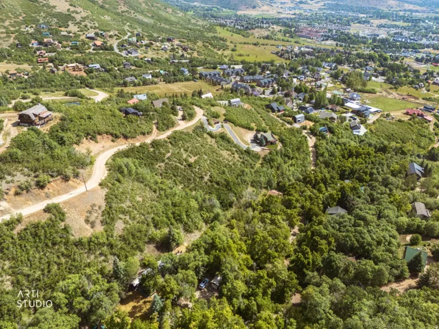 Expansive hillside property featuring mature trees and established residences