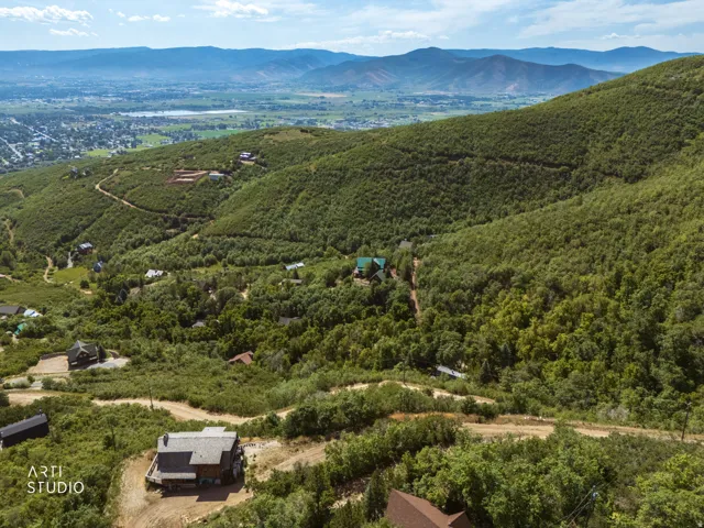 Rolling hillside property offering expansive land with abundant foliage