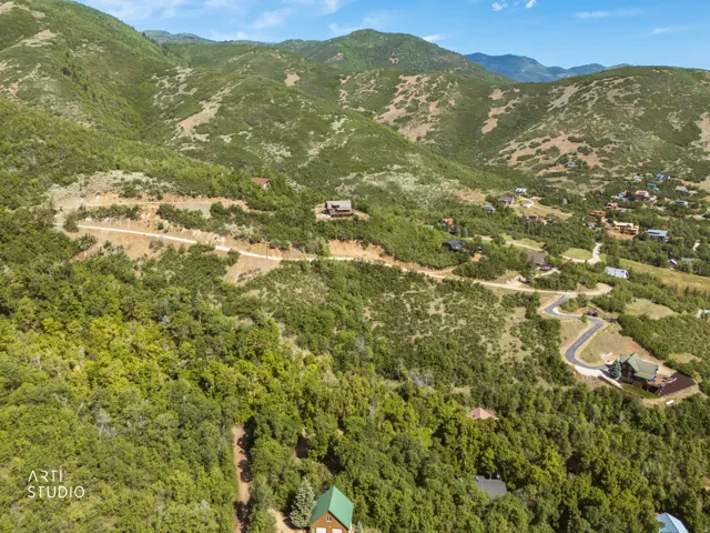 Expansive hillside property featuring diverse terrain, established vegetation, and a partially developed road system