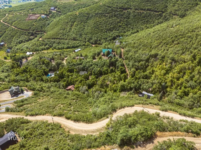 Expansive natural landscape with varied terrain and established vegetation