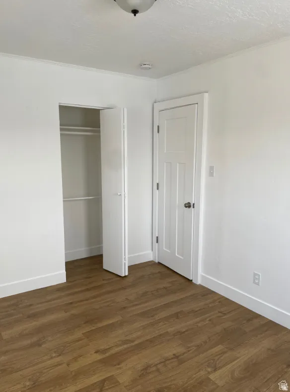 Room featuring wood-finish flooring, white baseboards, a flush-mount ceiling light, a built-in closet with bifold doors, and a paneled interior door