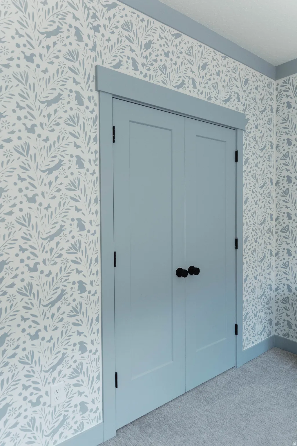 Light blue double panel doors with black hardware, framed by matching trim