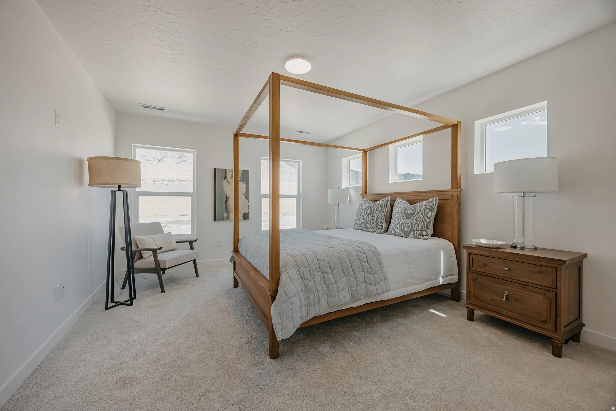 Light gray carpeting throughout, white painted walls, and multiple windows providing natural illumination