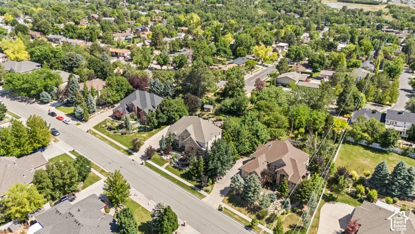 Aerial perspective of a developed residential area featuring mature landscaping, paved streets, and a variety of architectural styles