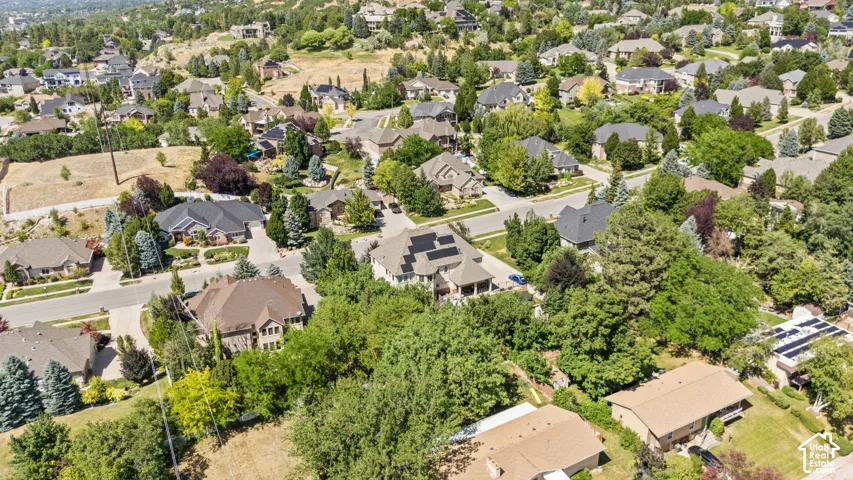 Expansive residential area featuring numerous single-family homes with diverse architectural styles, mature landscaping, and paved streets