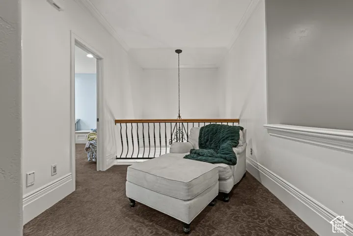 Carpeted hallway featuring a decorative railing with wooden top rail and metal spindles, crown molding, and a built-in wall shelf