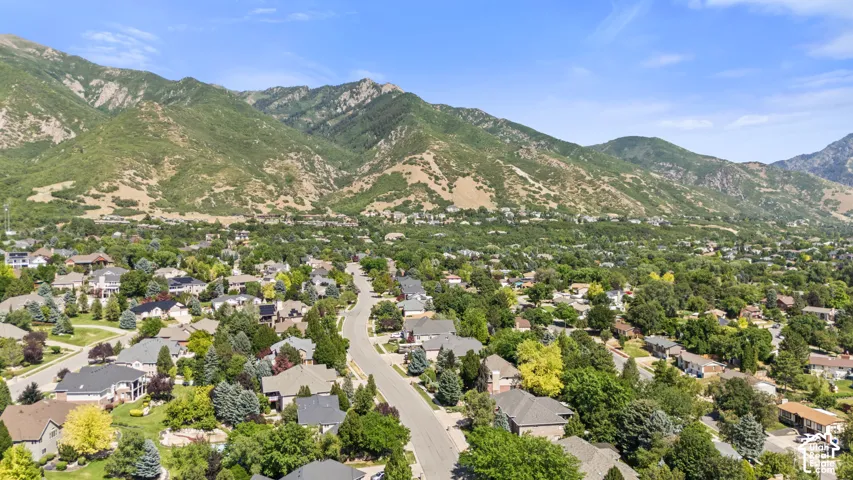 Established residential area featuring mature trees and a clear mountain backdrop