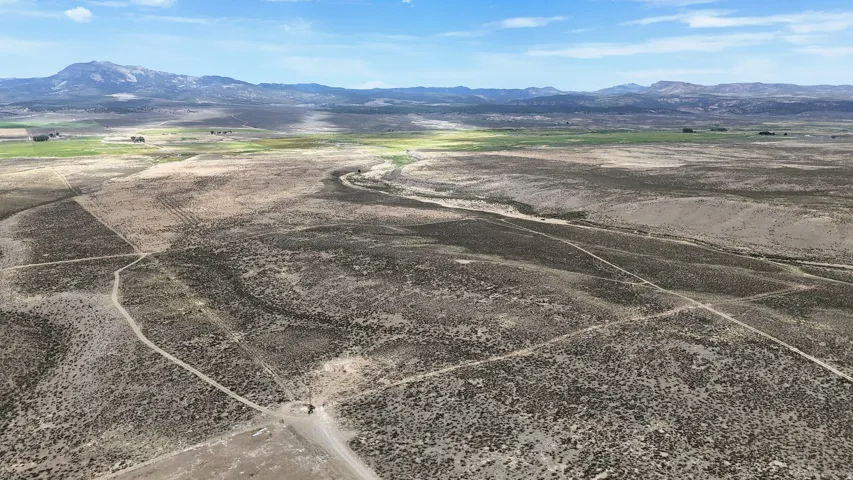 Expansive desert landscape with a distant mountain range, featuring scattered green pastures and visible dirt tracks