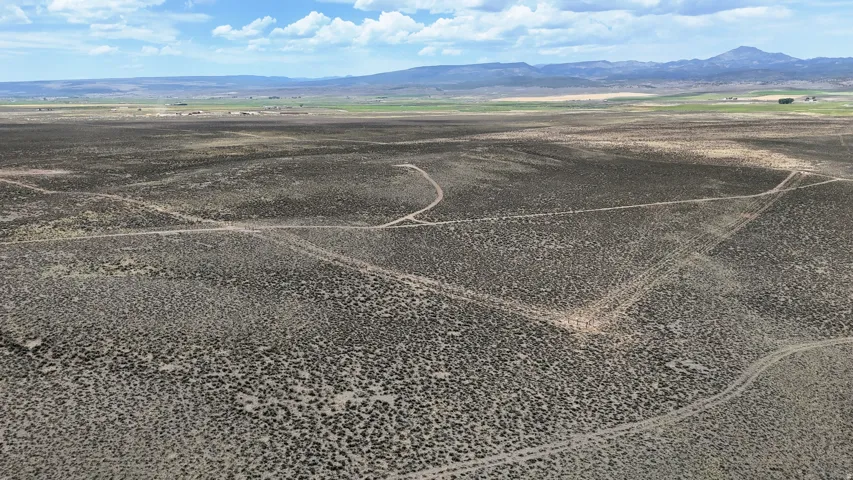 Expansive desert landscape featuring natural scrub vegetation and visible dirt paths