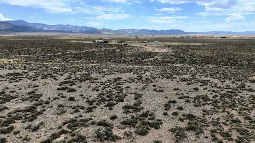 Expansive desert landscape with natural vegetation and distant mountain ranges