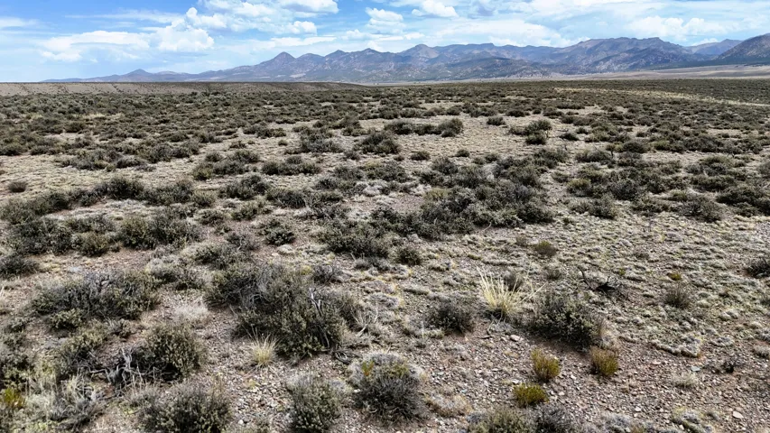 Expansive open land featuring natural desert vegetation and distant mountainous terrain