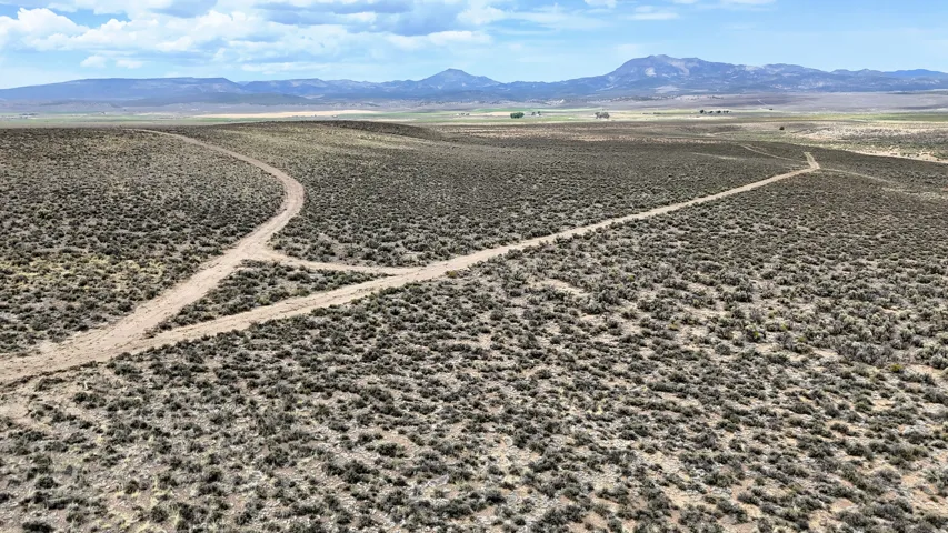 Expansive open landscape featuring natural vegetation and distant mountains under a partly cloudy sky