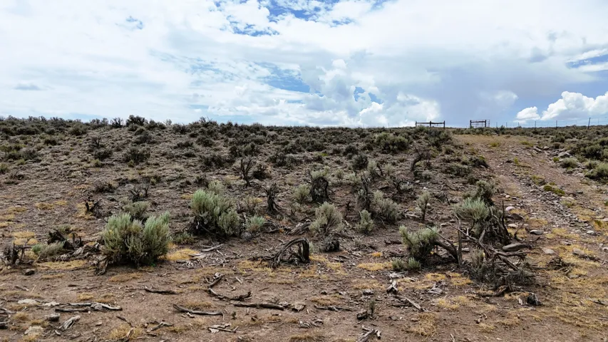 Expansive undeveloped land featuring natural terrain with scattered vegetation and a distant fence line