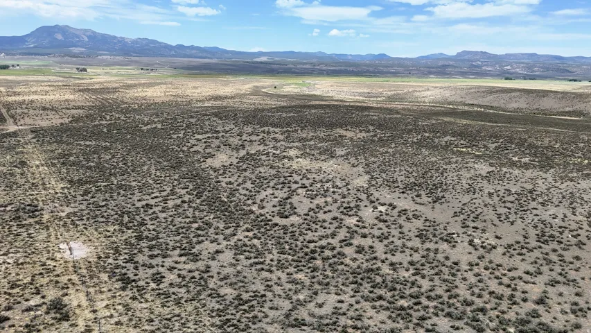 Expansive undeveloped land featuring natural vegetation and distant mountain ranges