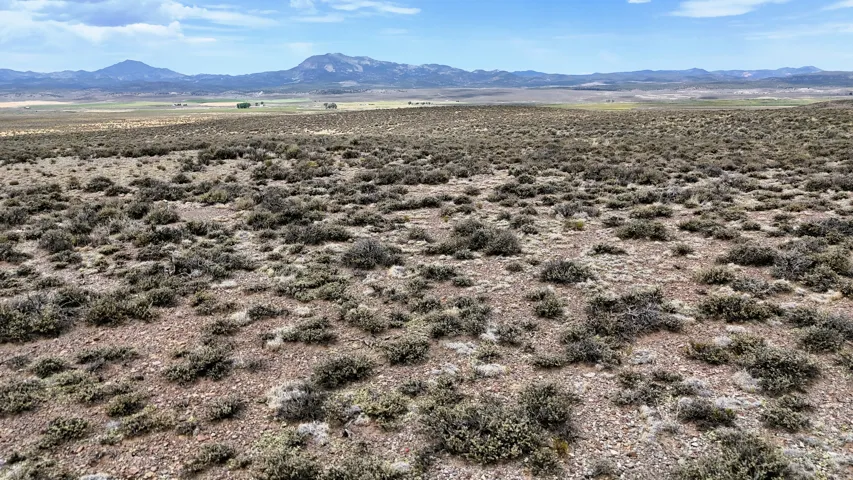 Expansive open terrain featuring natural vegetation and distant mountain ranges under a partly cloudy sky