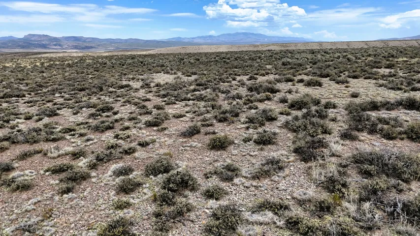 Expansive desert landscape featuring scattered low-lying vegetation