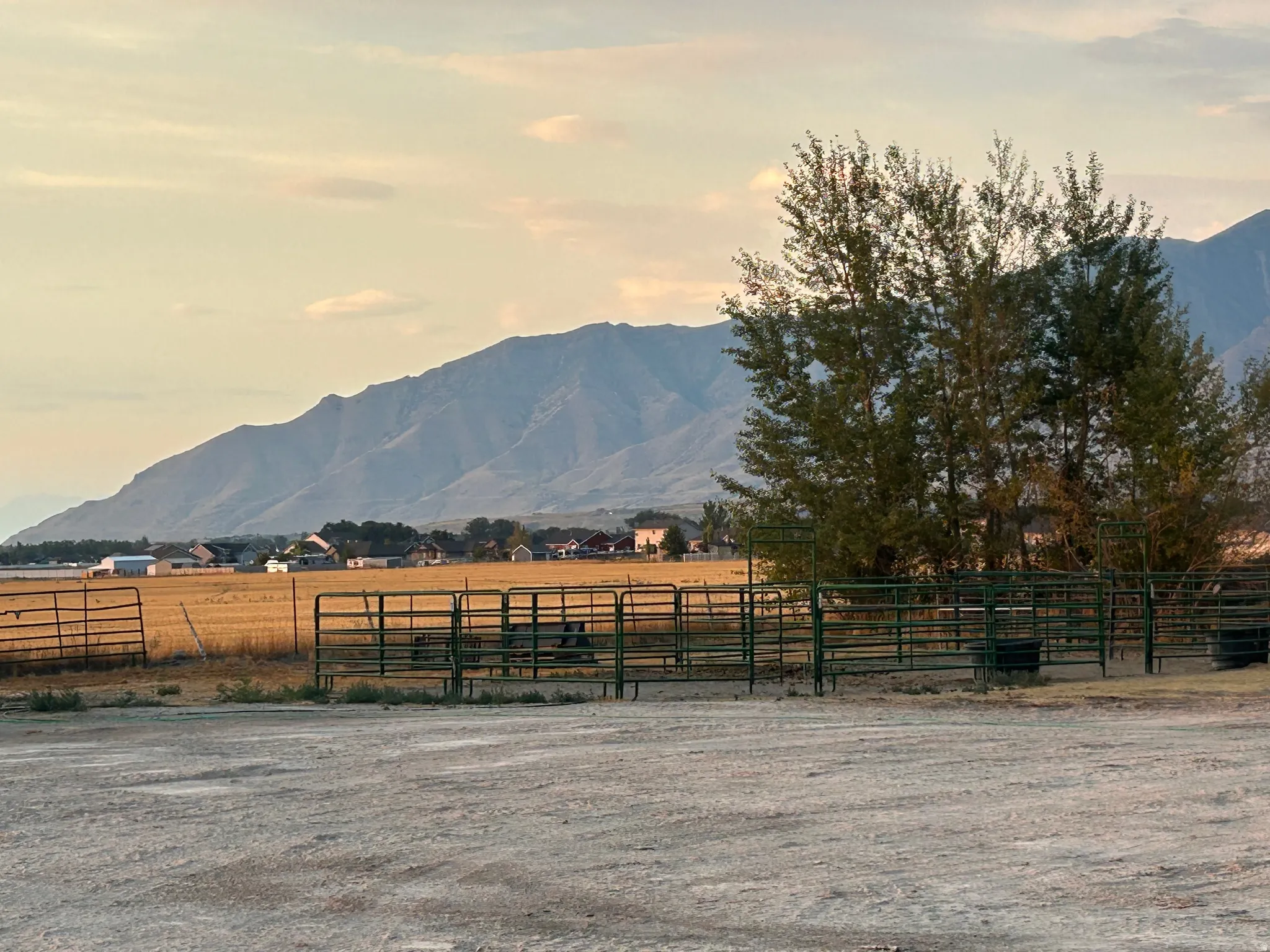 Expansive field with permanent fencing, mature trees, and a distant mountain backdrop