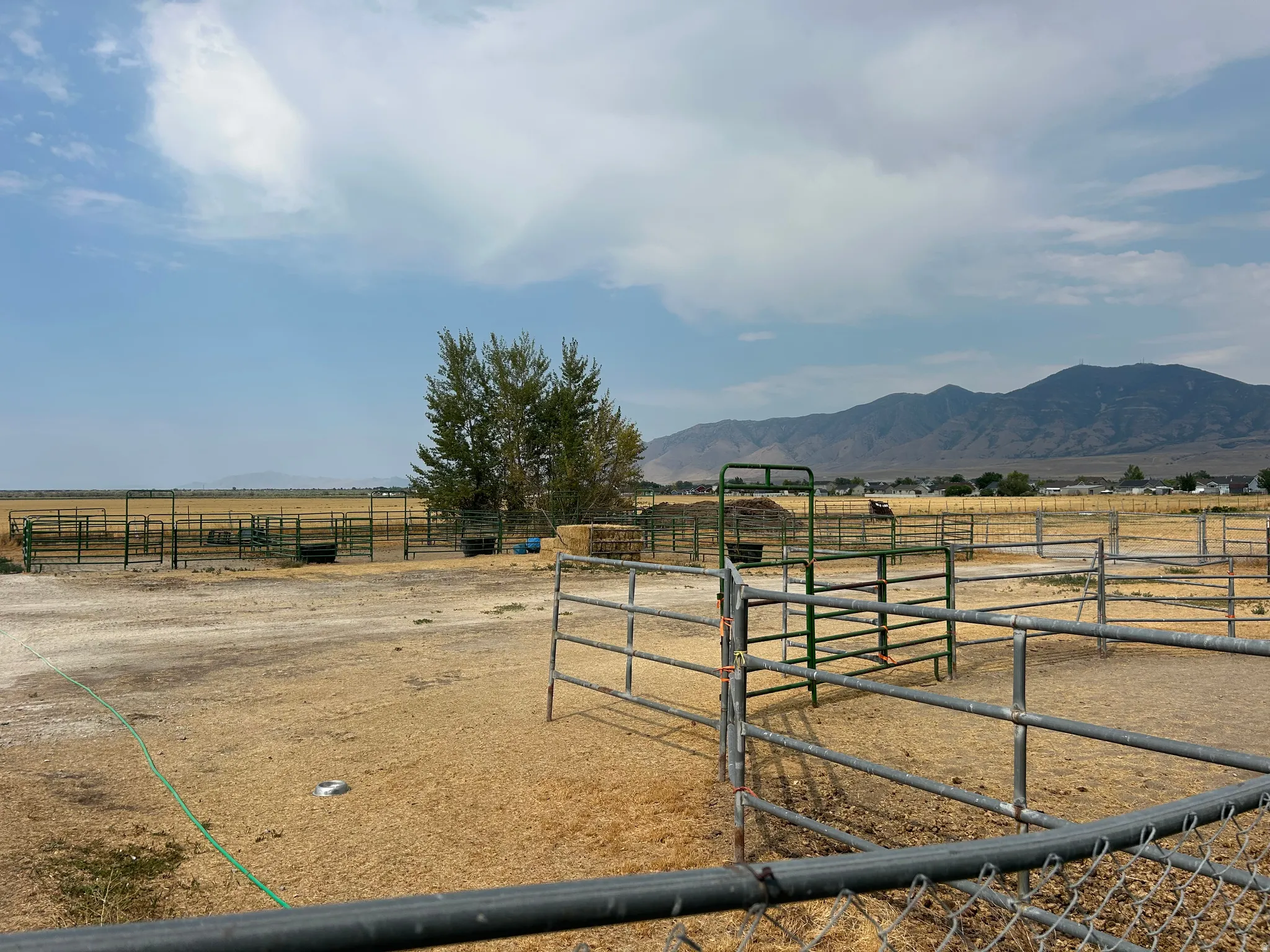 Expansive outdoor area featuring multiple metal corrals, a partially fenced perimeter, and a backdrop of distant mountains