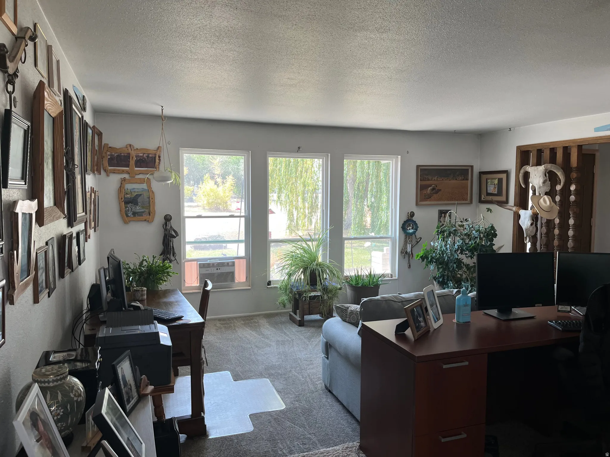 Three large windows, wall-to-wall carpeting living room/office