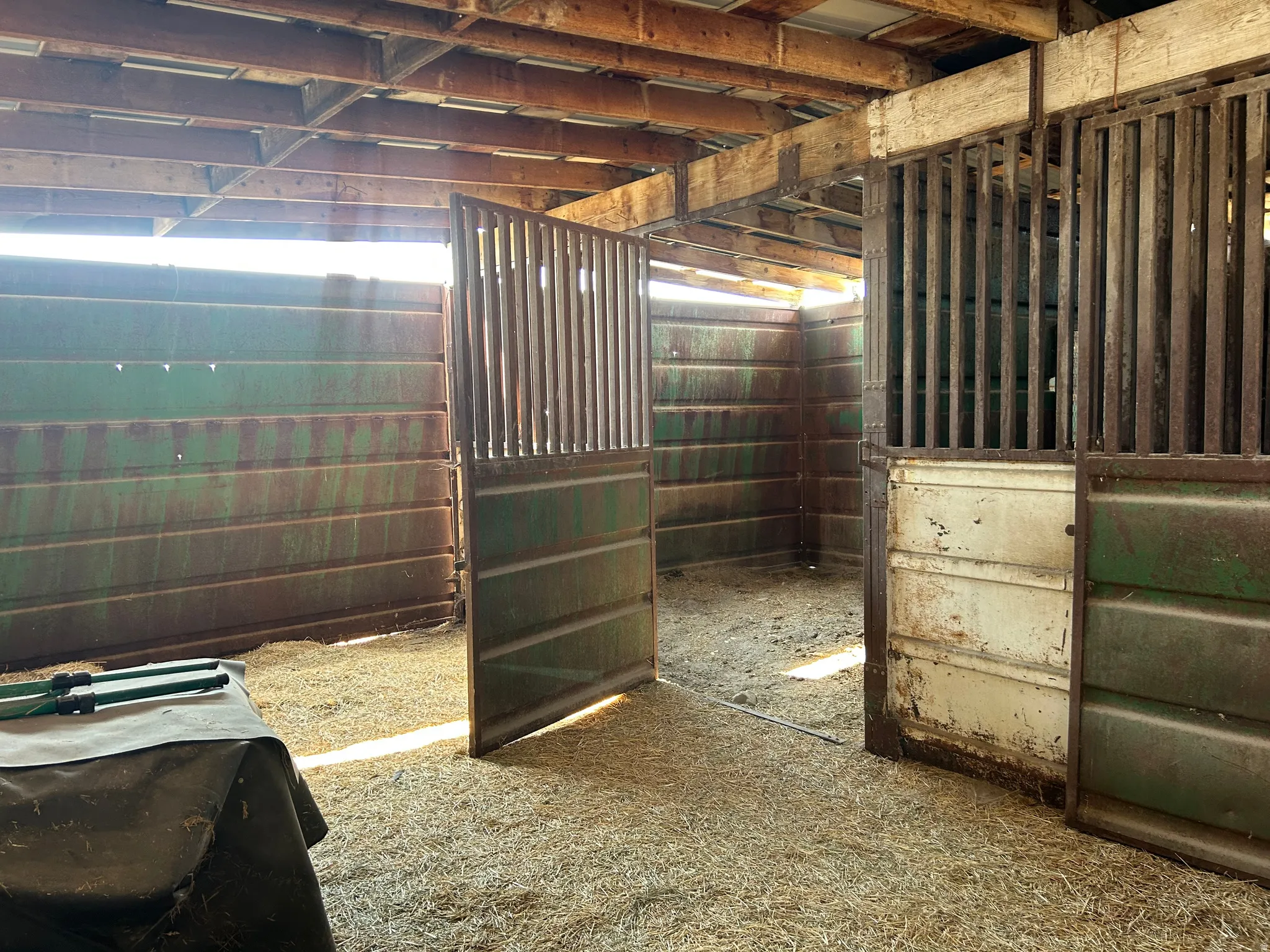 Barn interior featuring wood-beamed ceiling, metal stall dividers, and a straw-covered floor