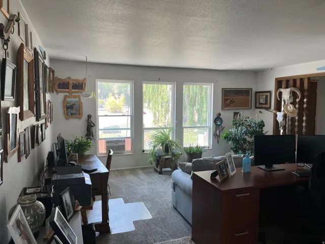 Three large windows, wall-to-wall carpeting living room/office